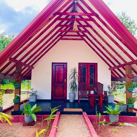 Sigiri Enaya Cottage Сигирия Екстериор снимка
