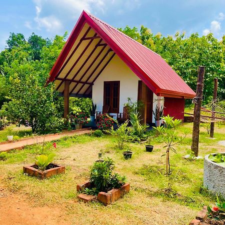 Sigiri Enaya Cottage Сигирия Екстериор снимка