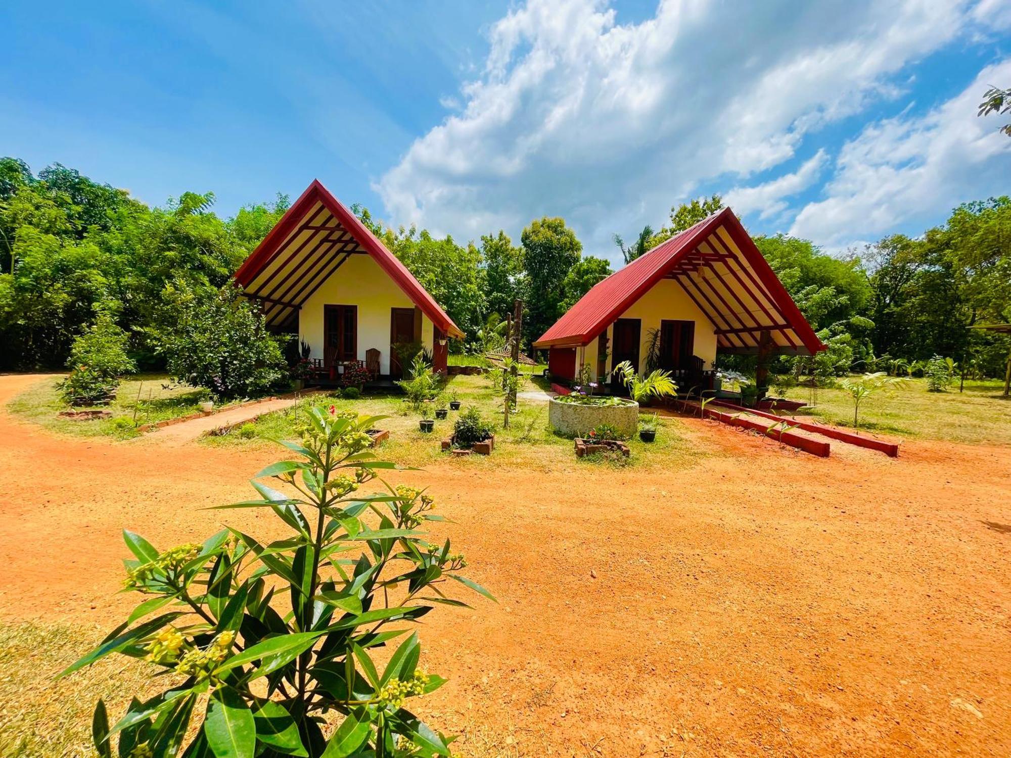 Sigiri Enaya Cottage Сигирия Екстериор снимка