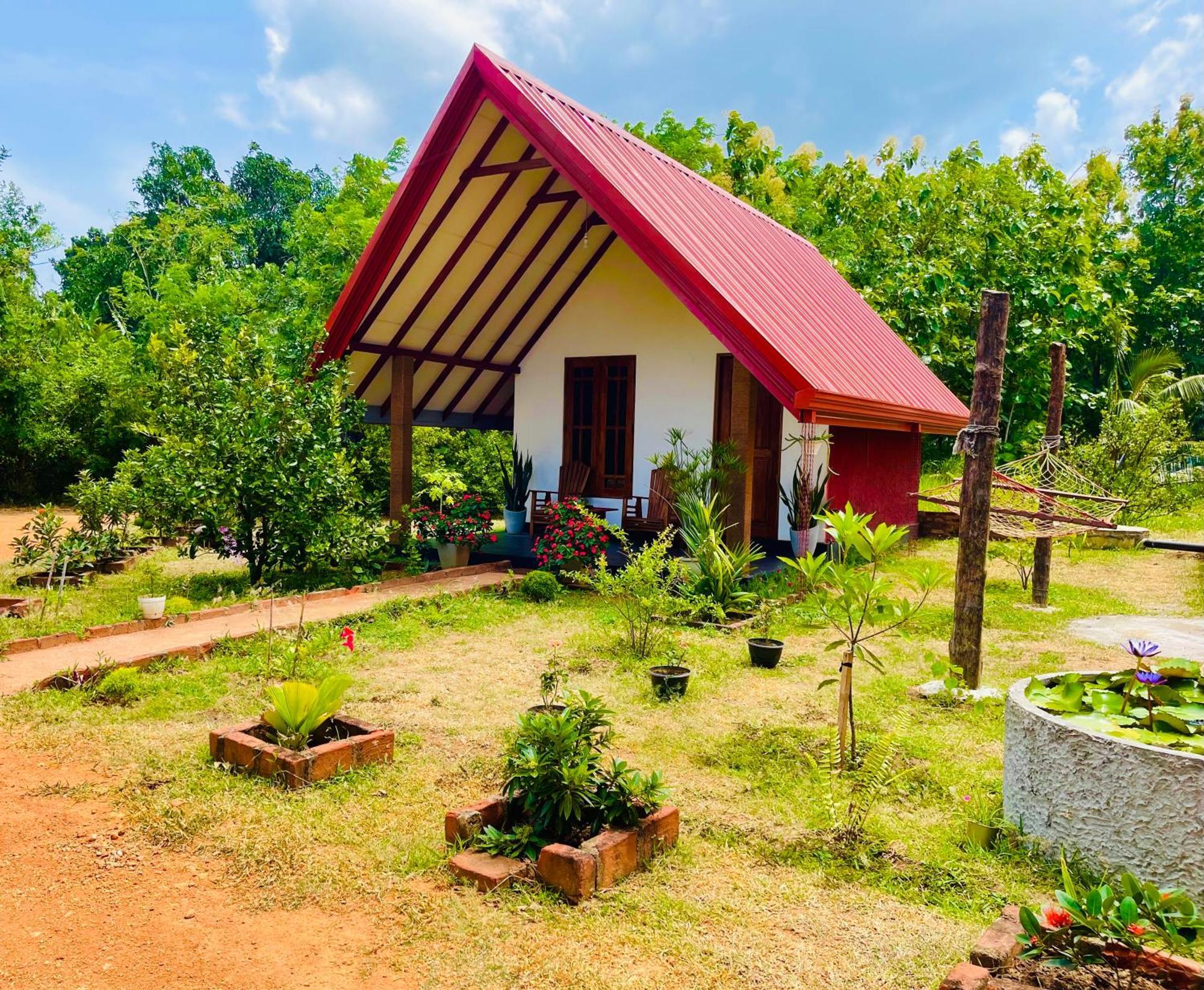 Sigiri Enaya Cottage Сигирия Екстериор снимка