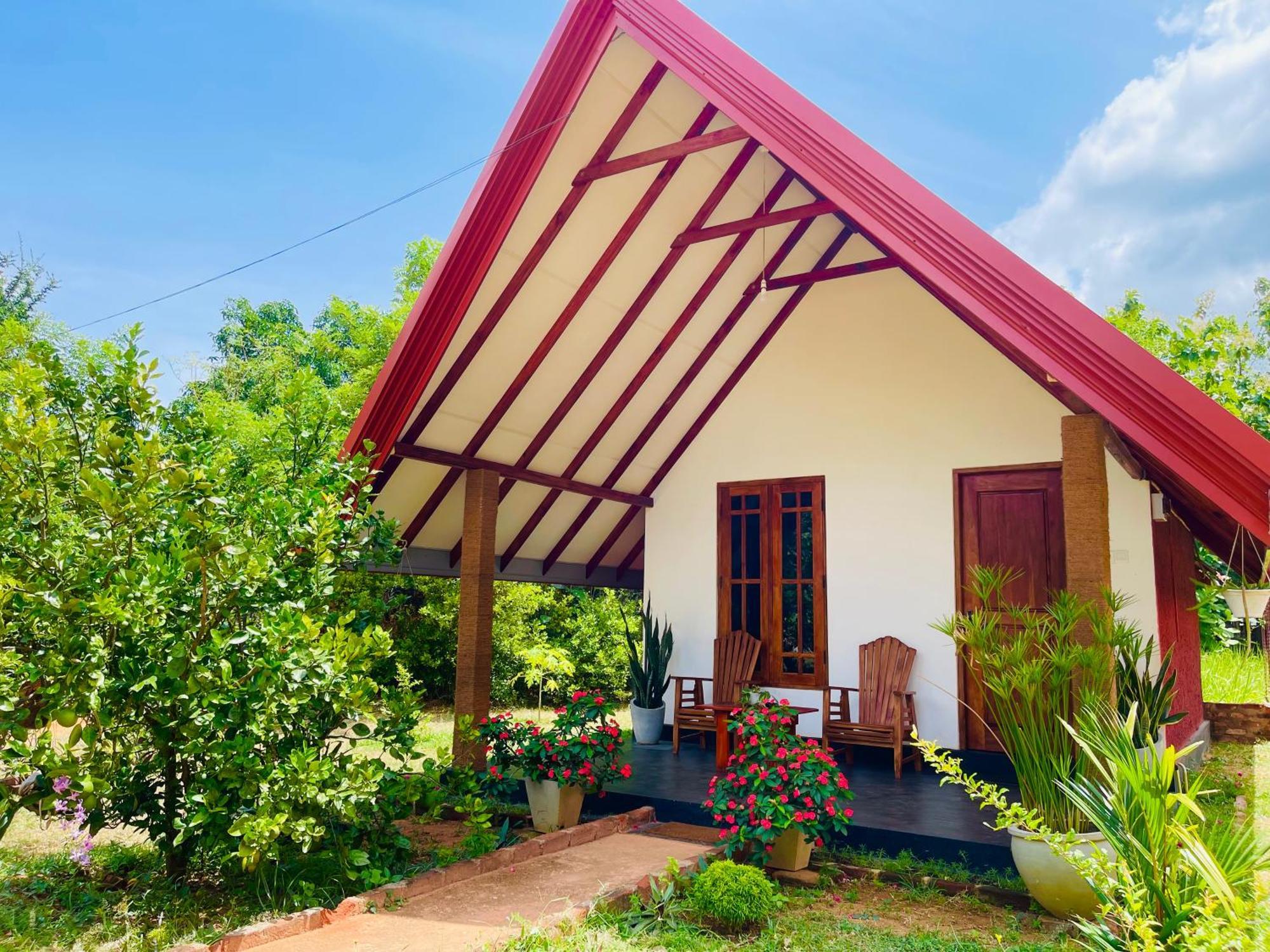Sigiri Enaya Cottage Сигирия Екстериор снимка