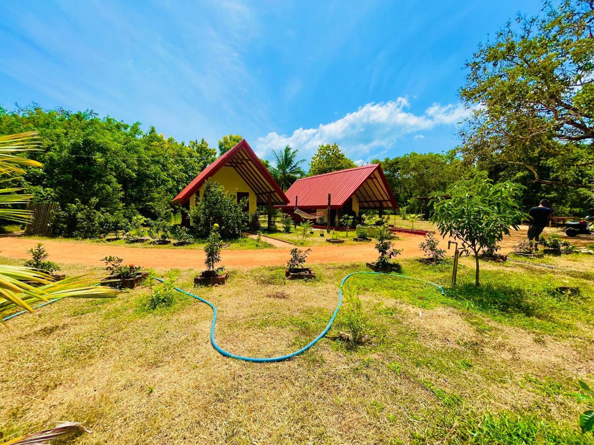 Sigiri Enaya Cottage Сигирия Екстериор снимка