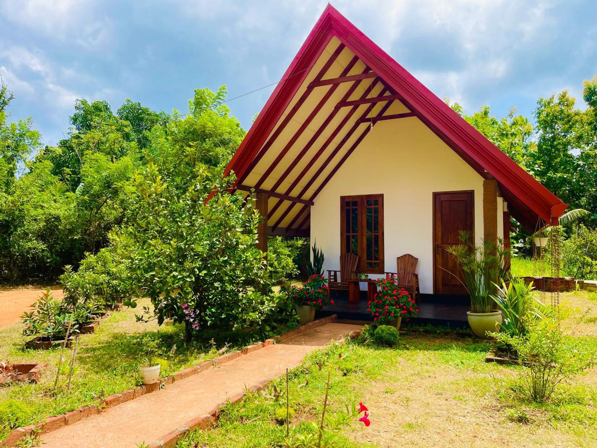 Sigiri Enaya Cottage Сигирия Екстериор снимка